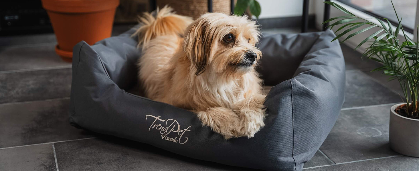 Ортопедичне собаче ліжко TrendPet Viscado сірого кольору, 100 см