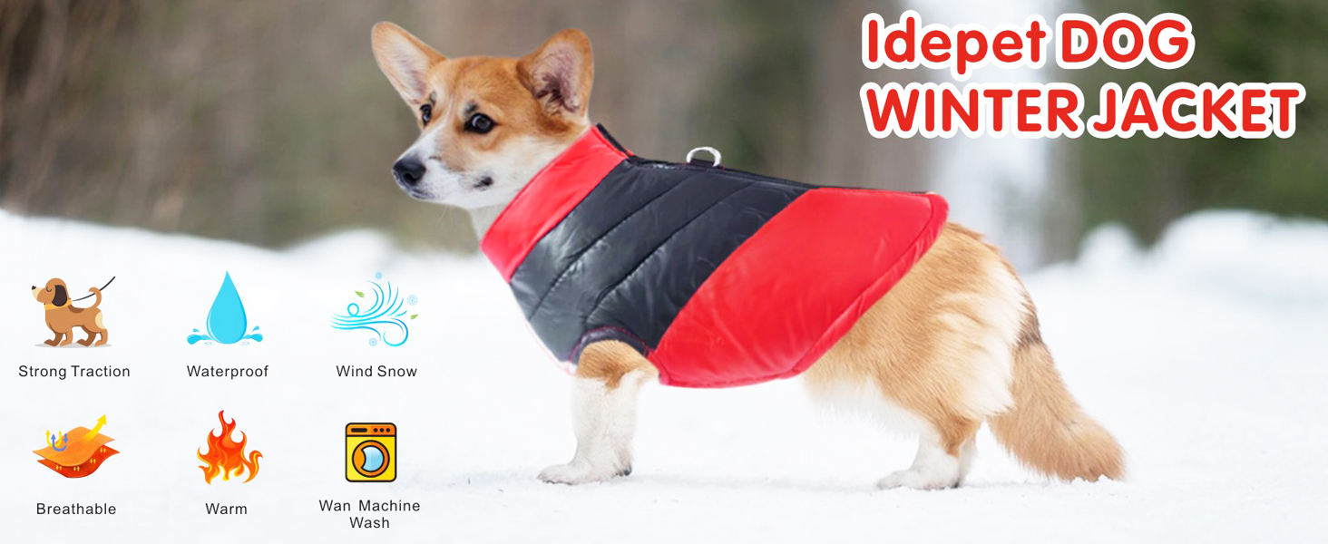 Водонепроникна куртка для собак Idepet: тепла та зручна на осінь/зиму (S, сірий)