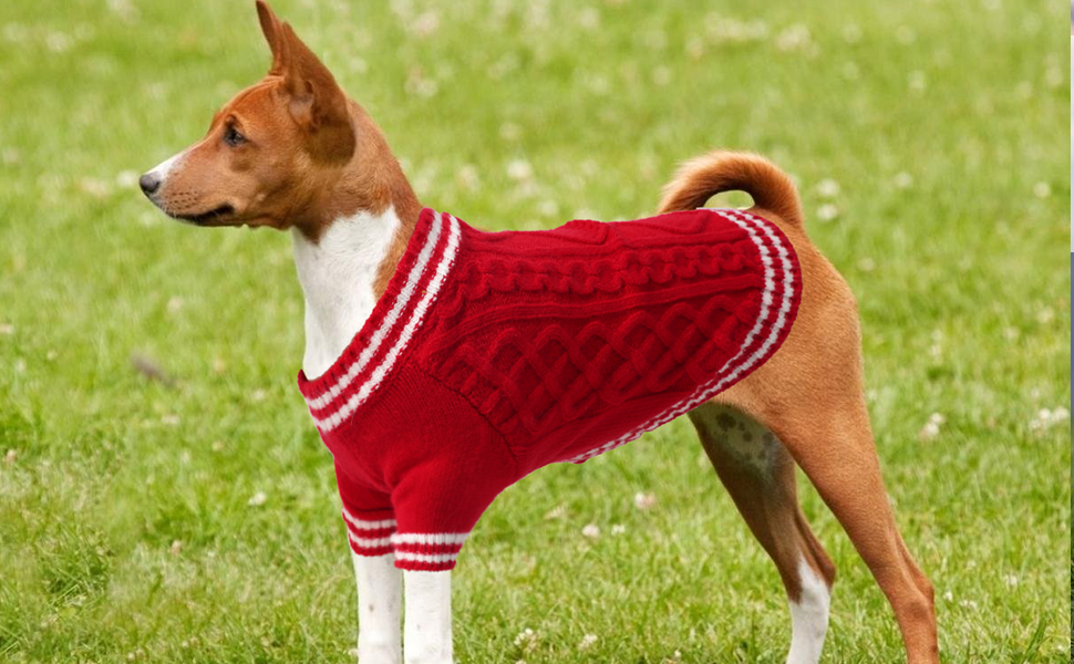 Теплий собачий светр LiebeDD з V-подібним вирізом для маленьких та середніх собак, червоний (M)