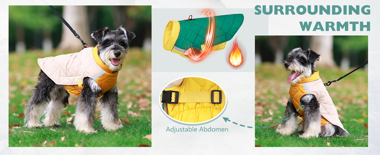 PETCUTE Водонепроникний зимовий дощовик для собак, теплий дощовик для собак середніх та великих порід, з світловідбиваючими смугами, з отвором для шлейки, сірий+блакитний