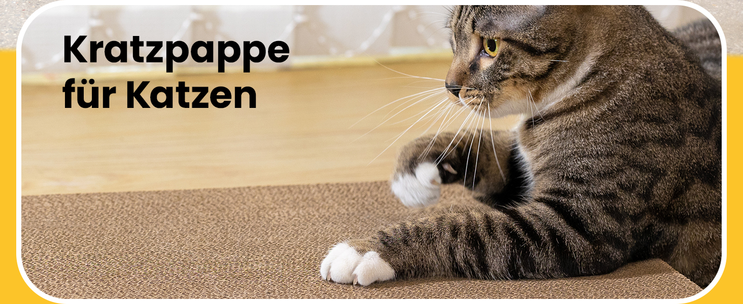 5-Piece Conlun Cat Scratch Box Set with Scratching Pad - Large, White