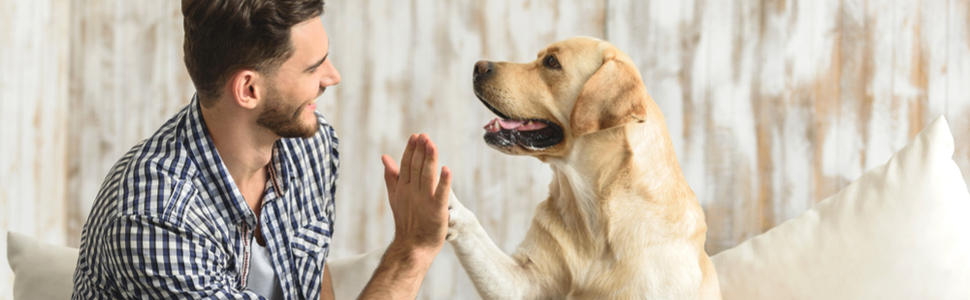 Ножиці для обрізання кігтів Golden Pets Profi Krallenschere + Feile з унікальним кутом 45° та пилочкою для безпечного догляду за кігтями тварин