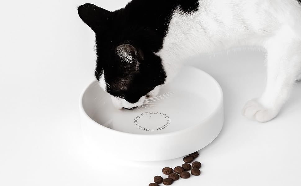 Керамічна годівниця для котів Minty&Marla® Food | Біла, преміум-якість