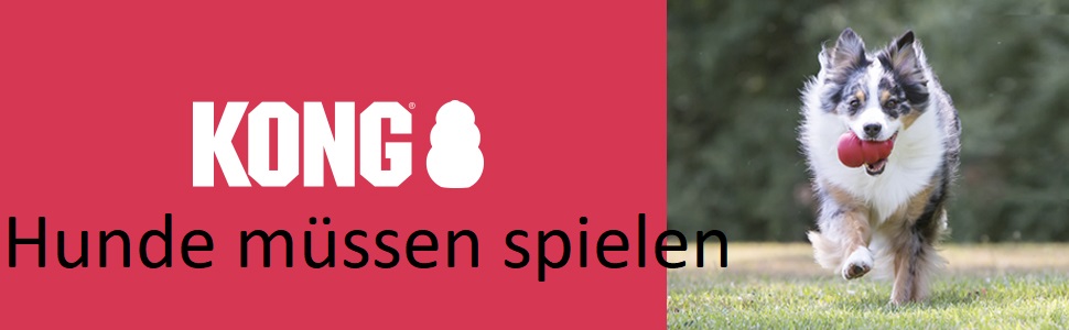 KONG ZoomGroom - щітка для грумінгу та миття собак, великі породи (червона)