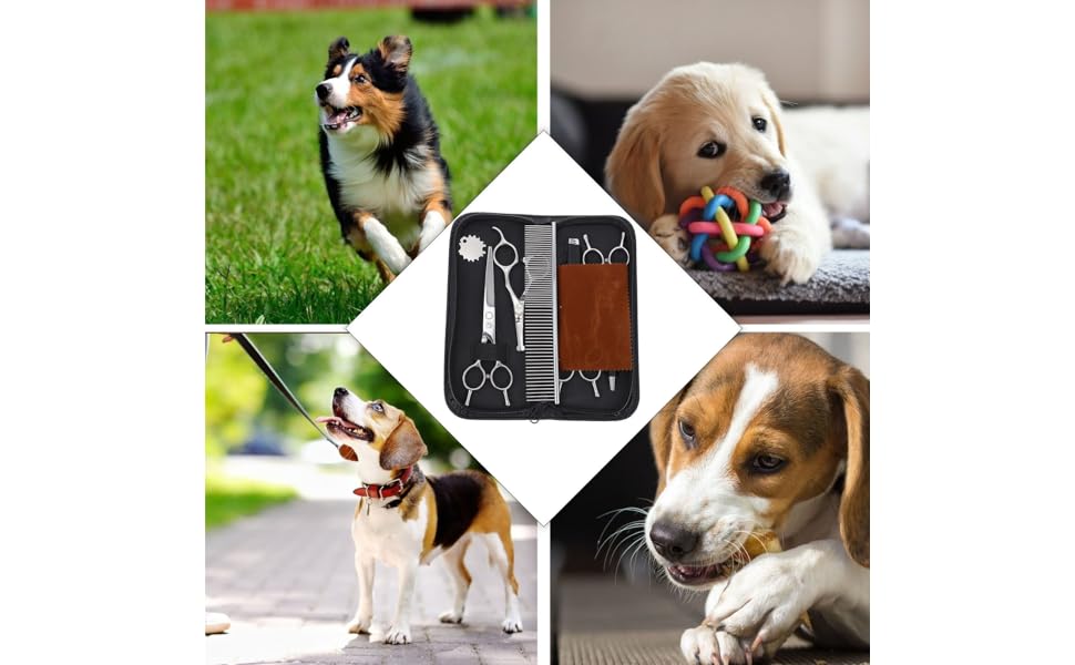 Набір ножиць для грумінгу собак з нержавіючої сталі. Інструмент для стрижки шерсті з округлими кінцями для безпечного догляду за тваринами