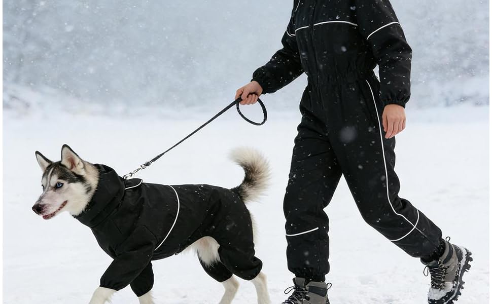 Водонепроникна куртка для собак, тепла та зручна - цілісний халат для собак, розмір 2XL | Ідеально для прогулянок в снігу та активного відпочинку
