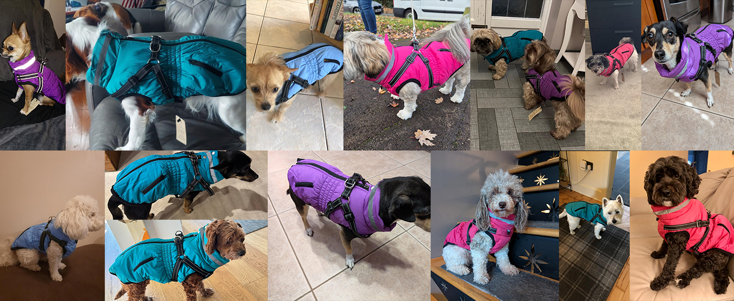 Теплий зимовий одяг для собак та котів - куртка, водонепроникний, зелений (XXL, червоний)