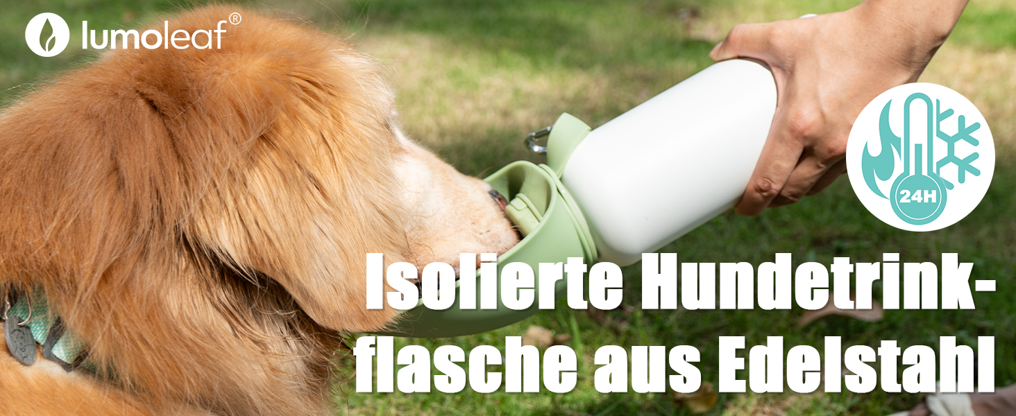LumoLeaf Ізольована термофляга для собак, 800 мл - Зберігає воду холодною або теплою годинами, міцна та портативна для подорожей, широке горлечко для зручного наповнення та миття (Зелена, 800 мл)