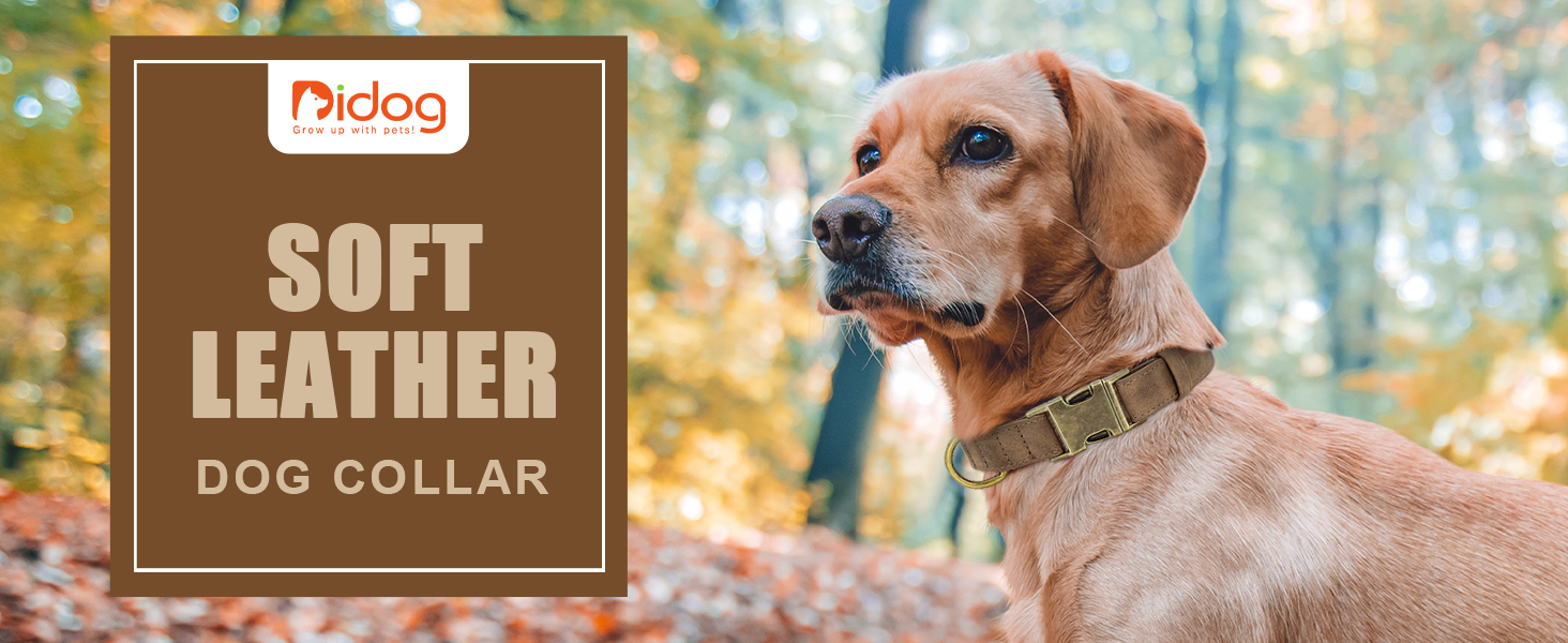 Нашийник для собак Didog з м'якої PU-шкіри, фіолетовий, розмір L (38,1-48,3 см), зручна застібка, для великих собак, для щоденних прогулянок