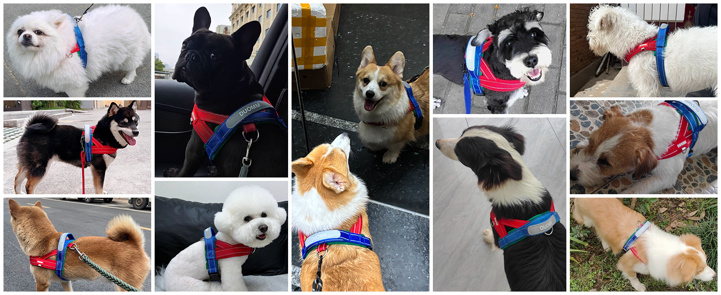 Нашийник для собак середніх та маленьких порід з повідком, кольоровий, сітка, м'який, з ручкою та кільцем, світловідбиваючий, легкий, чорно-сірий, розмір M