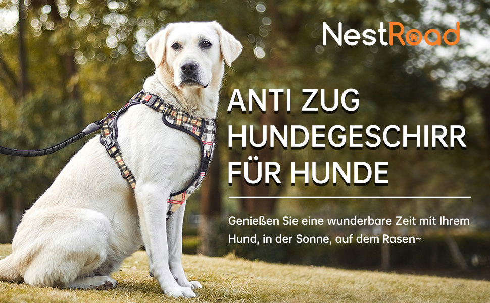 Шлея для великих собак NESTROAD, комплект із повідком та автопаском, клітинка, бежевий, розмір L (на шию 38–48 см, груди 48–74 см)