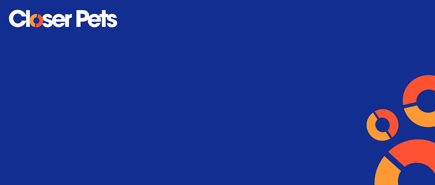 Автоматичний годівниця для котів та маленьких собак Cat Mate C500 з таймером, 5 мисок, сіра