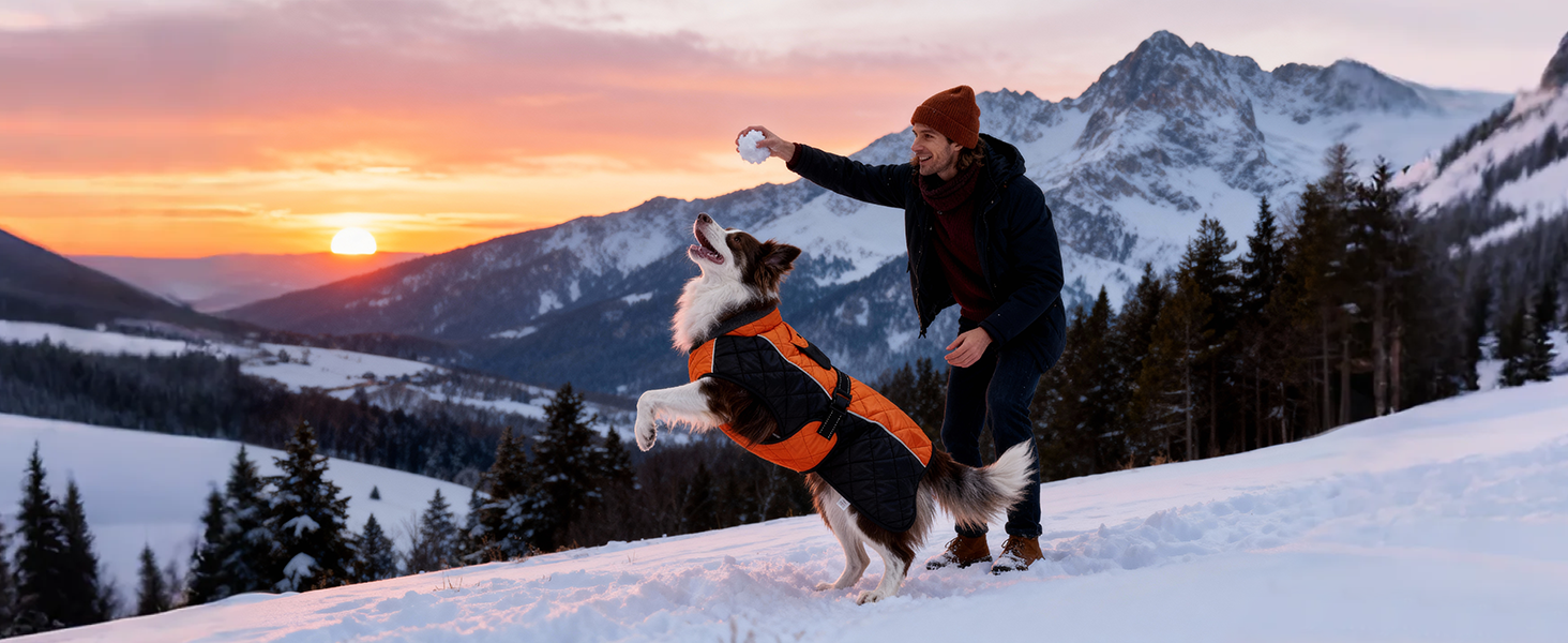 Зимовий теплий куртка для собак, вітро- та водовідштовхуючий, з потовщеним коміром, регульована блискавка, тепла зимова куртка для собак (Червоний/Сірий, M (58,6-68,6 см))