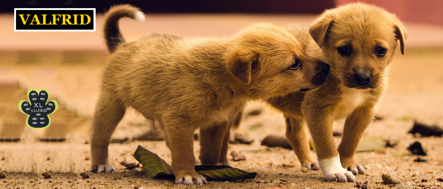 Захист лап для собак Anti-Rutsch: 40 шт. Силіконові наклейки проти ковзання, XXL (6.3*7см, 27.1-36кг)