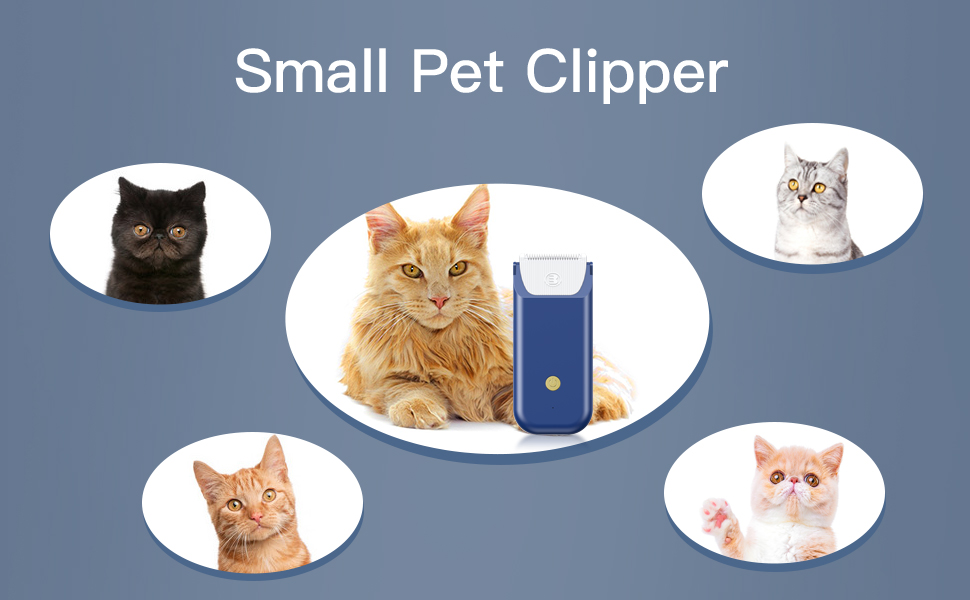 Електричний міні-набір для догляду за котами, акумуляторний, Type C, бездротова машинка для стрижки шерсті котів з матовим покриттям, легка, для кошенят/цуценят/кроликів/маленьких тварин, блакитний