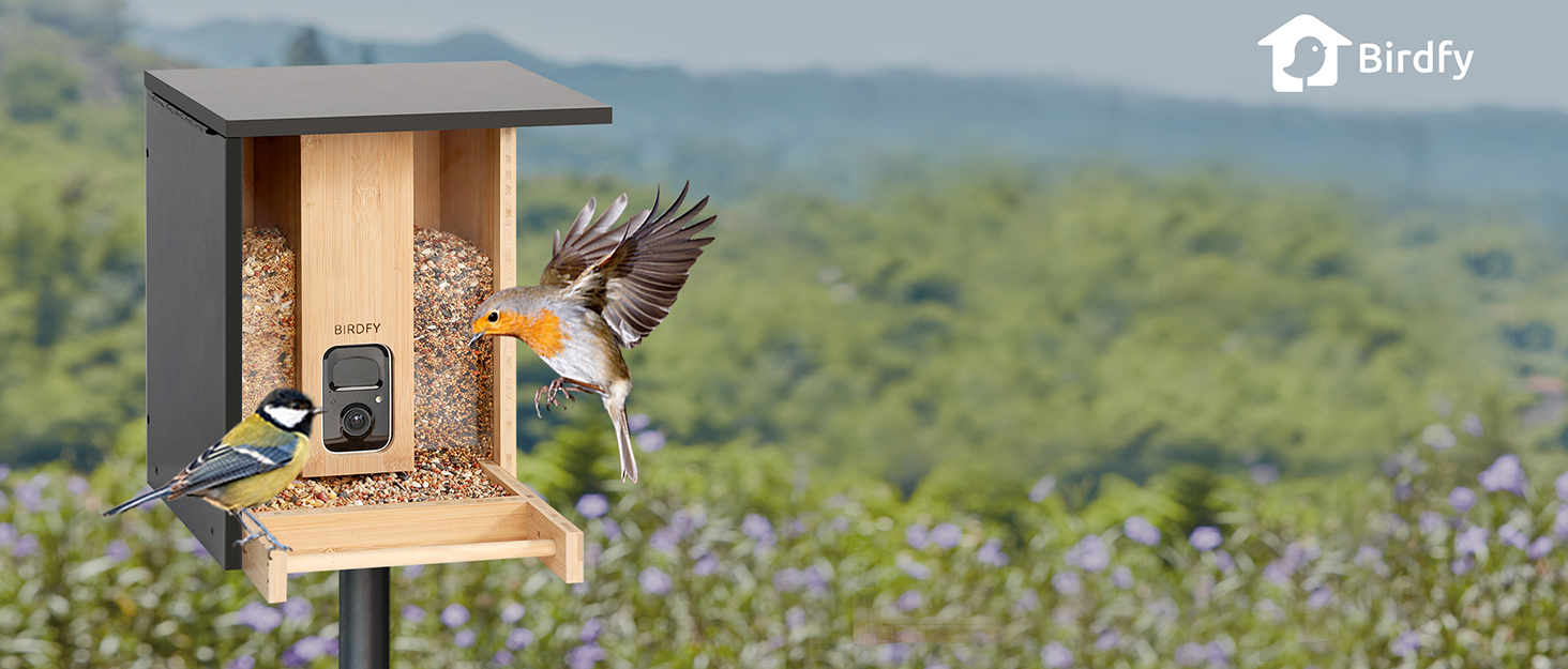 Розумна годівниця для птахів Netvue Birdfy з камерою, сонячною панеллю, 3L, автоматична ідентифікація птахів, для спостереження за дикими птахами