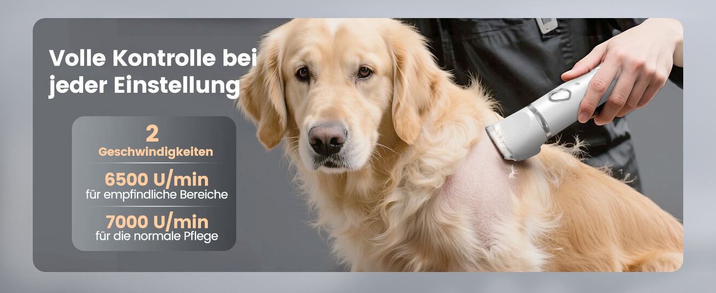 Набір 4 в 1 для догляду за собаками: машинка для стрижки, триммер для лап, точилка для кігтів, для собак та котів