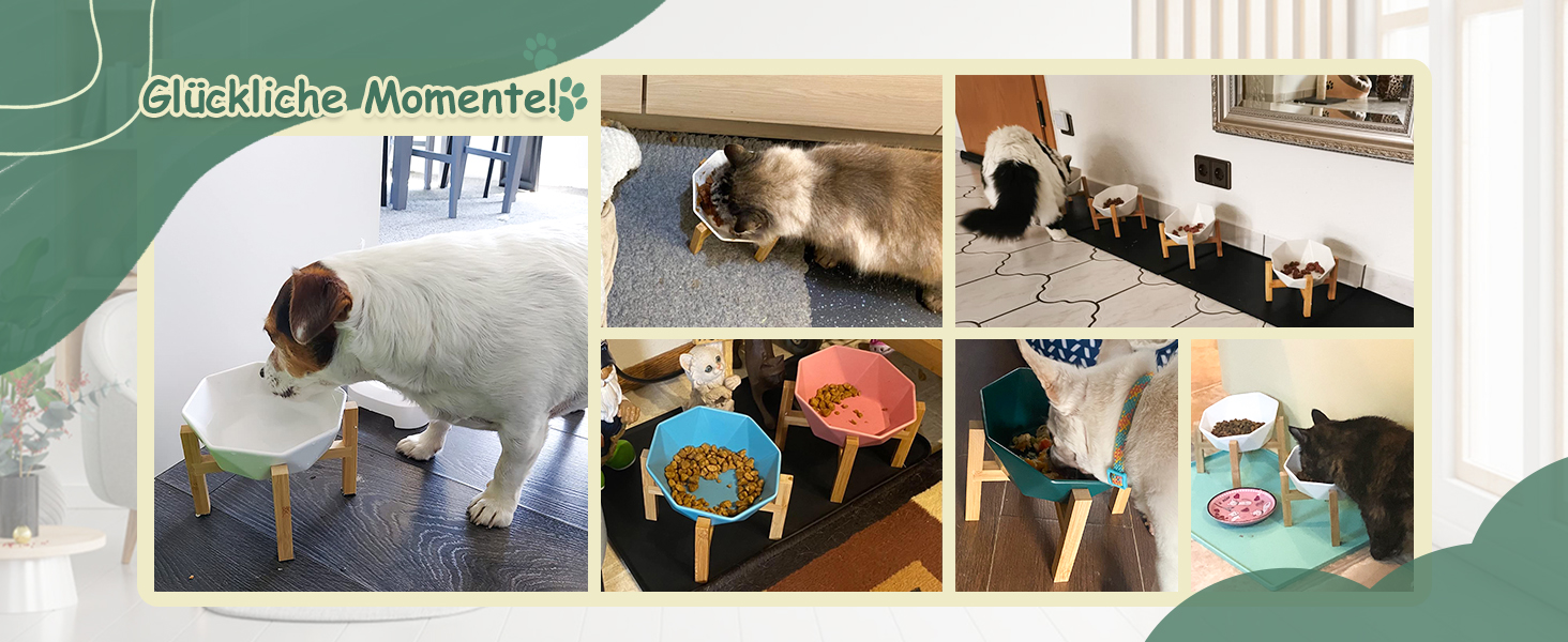 Керамічна годівниця для котів та собак на підставці, нахилена, зелена - 1 шт.