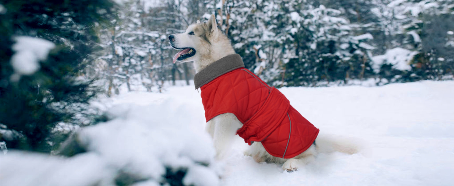 Куртка для собак Kuoser, зимова, водонепроникна, для середніх та великих собак, з флісовою підкладкою та блискавкою, L, червона