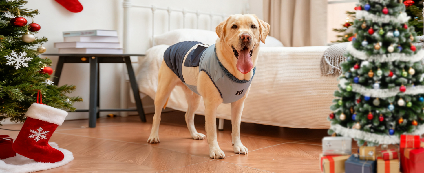 Зимовий одяг для собак: двосторонній водонепроникний теплий зимовий костюм з флісовою підкладкою, зручний застібкою-блискавкою, синій, розмір S (обхват грудей 58-60см, довжина спини 40см)