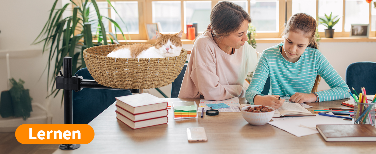 Кігтеточка-ліжко для кота на стіл: обертання 360°, регульована висота, без свердління. Підвищене котяче ліжко над столом. Тримає кошеня/кота поруч. Зручне ліжко для кота з подушкою для тварин.