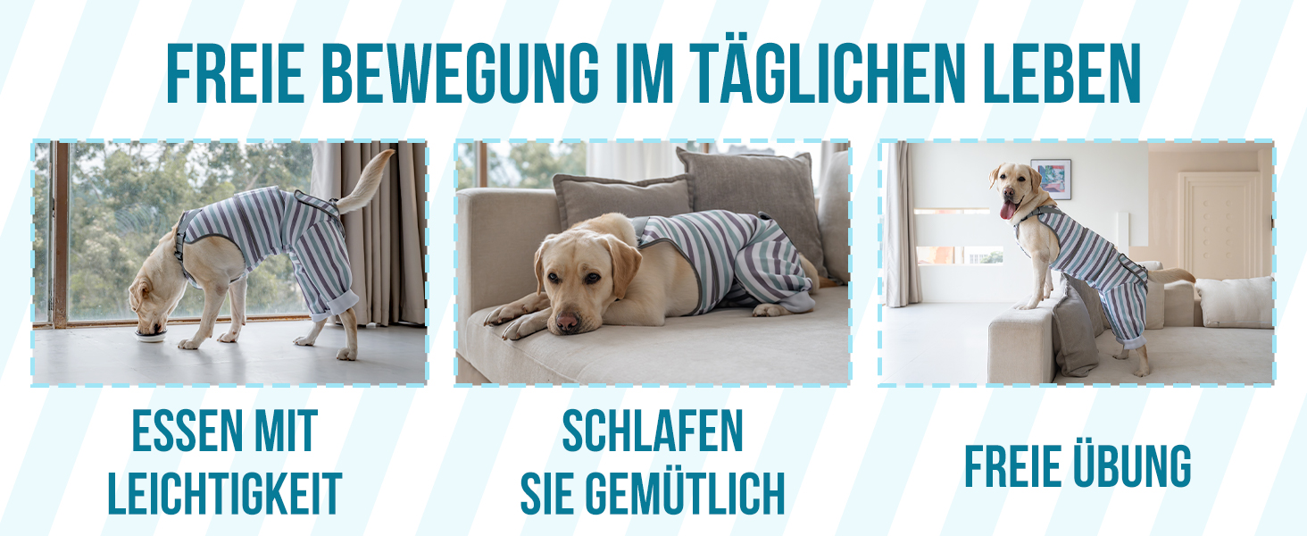 Комбінезон для собак після операції, дихаючий, для задніх лап, синій, XS (довжина спини 27-32 см, довжина лап 15 см)