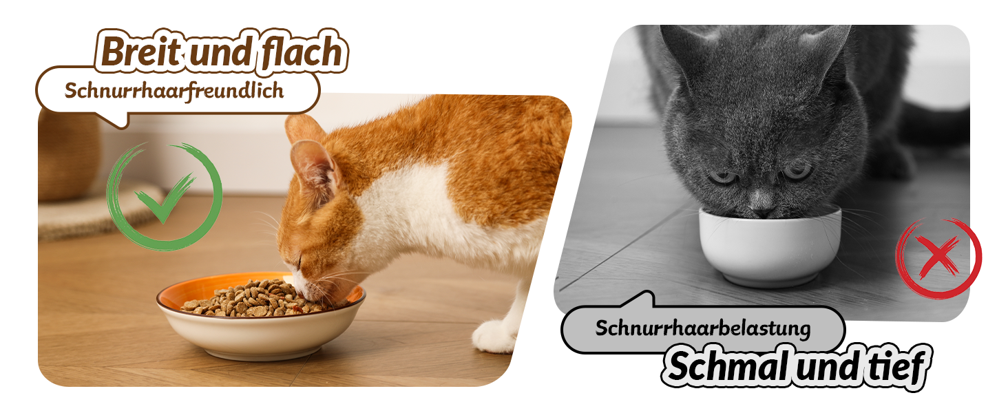 Набір мисок для котів з кераміки - 6 шт. Яскраві миски для котів з візерунком - миски для корму котів, 250 мл, колір 1