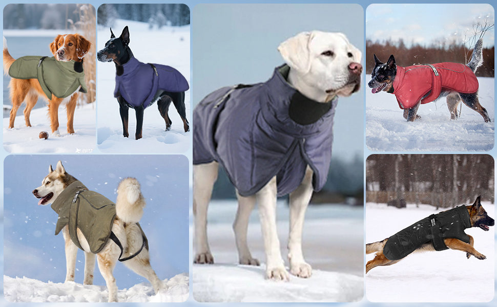 Водонепроникний зимовий одяг для собак, теплий зимовий одяг для собак, куртка для собак, теплий зимовий одяг для собак з D-Ring (Зелений, 4XL)