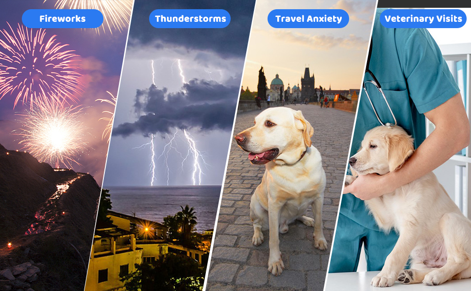 Заспокійлива жилетка для собак Anti-Angst від стресу, XL, темно-сірий