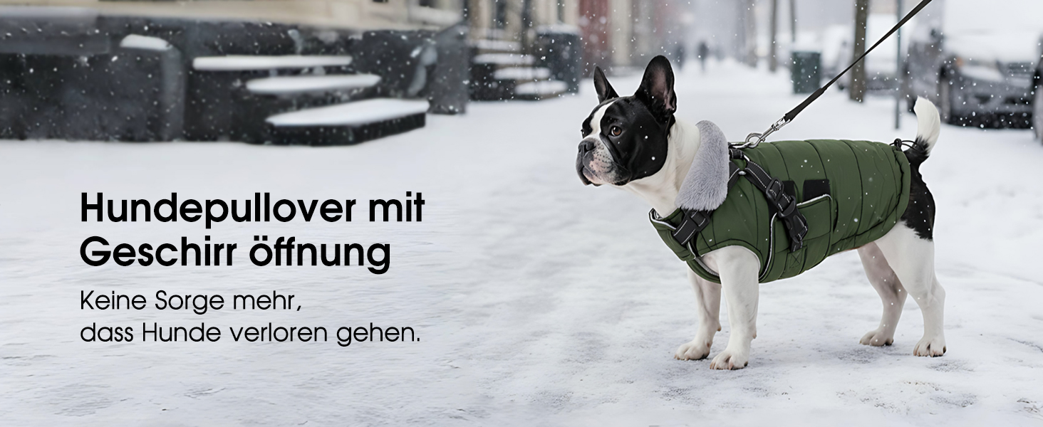 Зимовий теплий накид для собак ASENKU (S, M, L, XL) – водонепроникний, вітронепроникний, з відбиваючими елементами, з нагрудником, для маленьких, середніх та великих собак, зелений