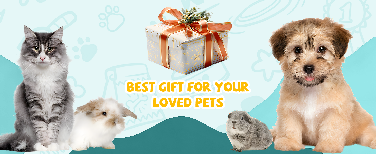 Підвищені миски для котів та собак Carehabi: набір мисок для їжі та води з антиковзкими ніжками