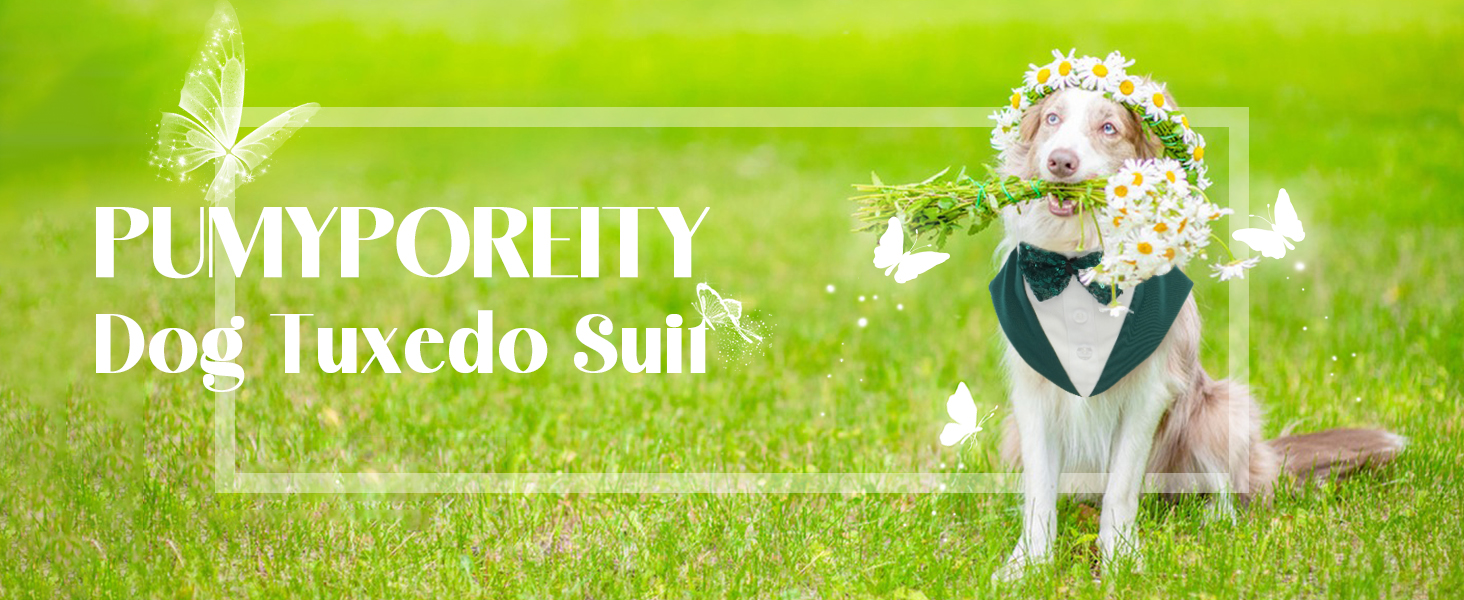 Костюм для собак 'Smoking' з банданою та краваткою, формальний наряд для свят та вечірок, розмір M/XXL, темно-зелений