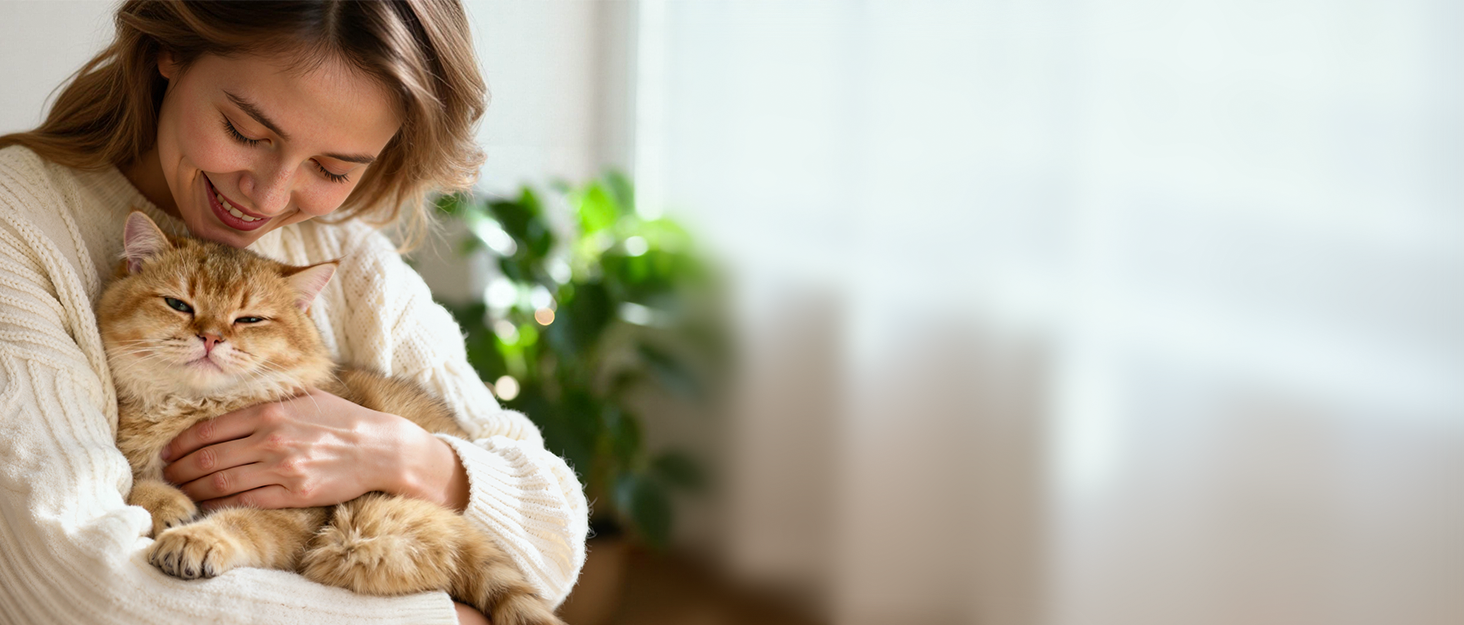 Автомат годівлі для котів та собак IMIPAW з Wi-Fi, 3L, чорний | Програмований диспенсер корму з APP-керуванням, 5G/2.4G, 1-10 прийомів на день