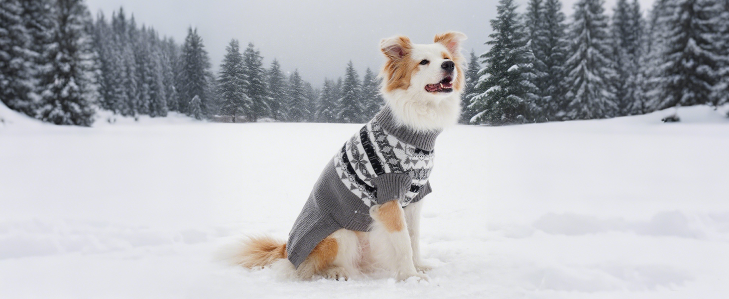 Пуловер для собак IECOii XXL, теплий зимовий пуловер для великих собак, блакитний, з ролетним коміром, для домашніх тварин, на Новий рік, розмір 2XL (обхват грудей 71 см)