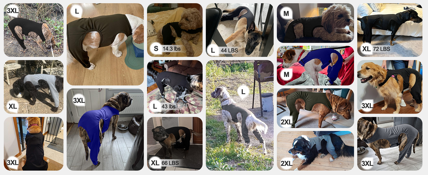 Комбінезон для собак після операції на ногах, захист від витікання, запобігає інфекціям, розмір XL, фіолетовий