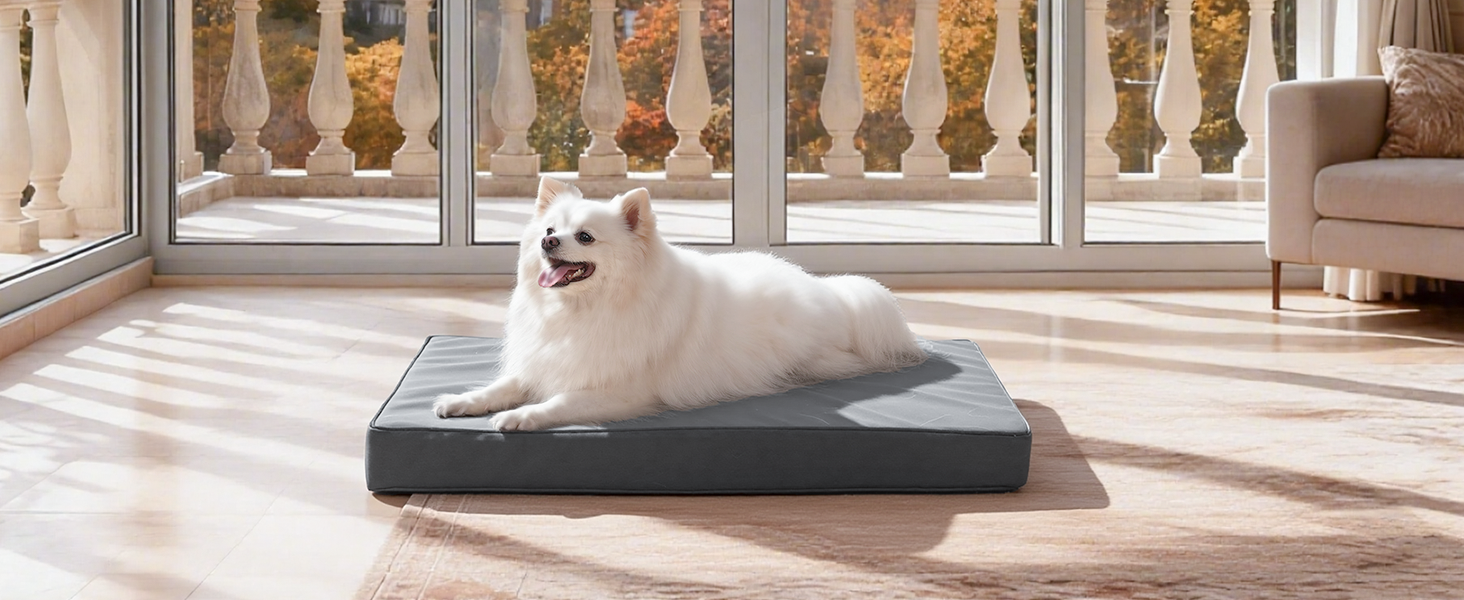 Ортопедичне ліжко для собак 58x43 см, знімний чохол з екошкіри, подушка для собак, матрац для собак, комфортне та прохолодне для внутрішнього та зовнішнього використання, сірого кольору (L58xB43xH7 см)