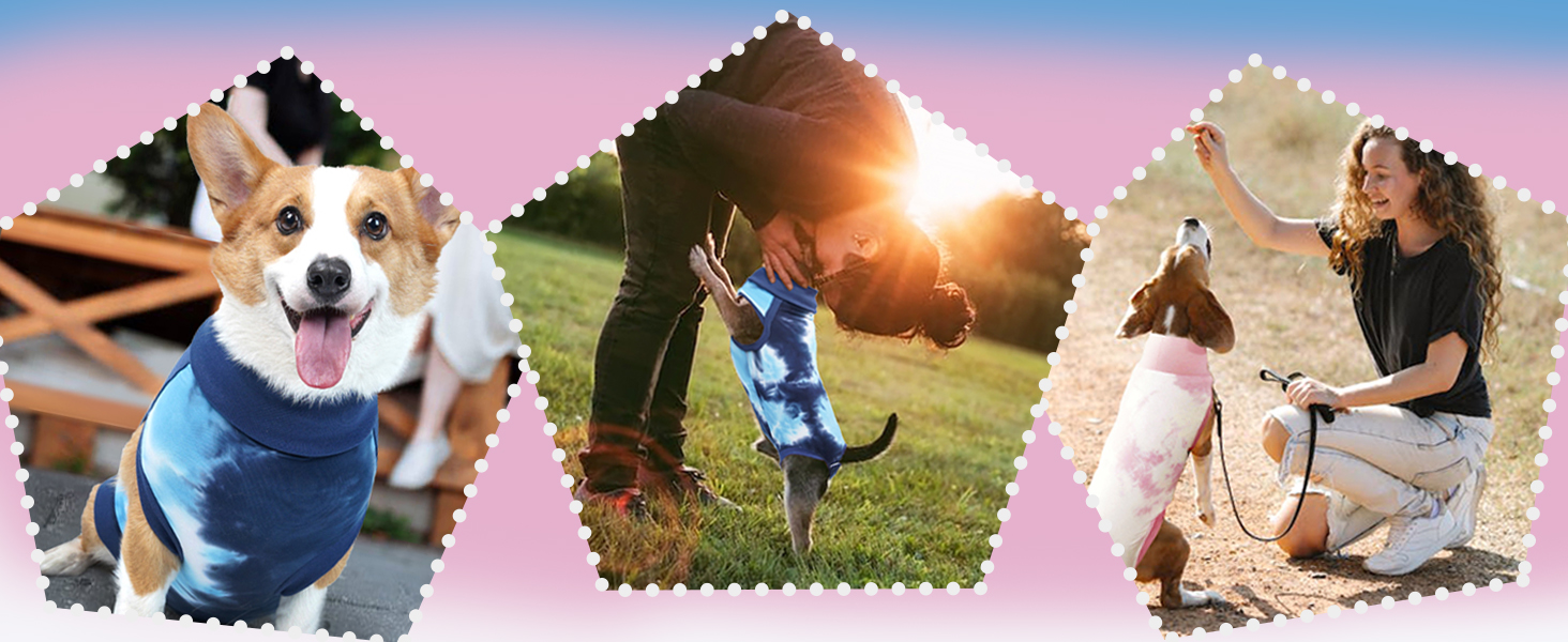 Комбінезон для собак після операції, ветеринарний одяг, захисний комбінезон, хірургічний боді для собак, після кастрації/стерилізації, синій, Tie-Dye