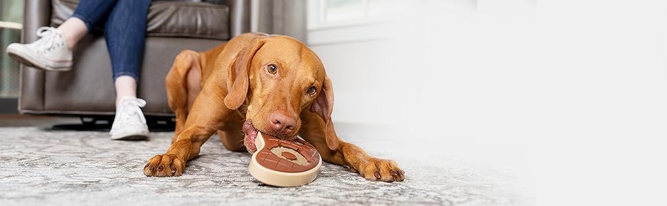 PetSafe 74144 Сумка для ласощів чорного кольору - спортивна модель