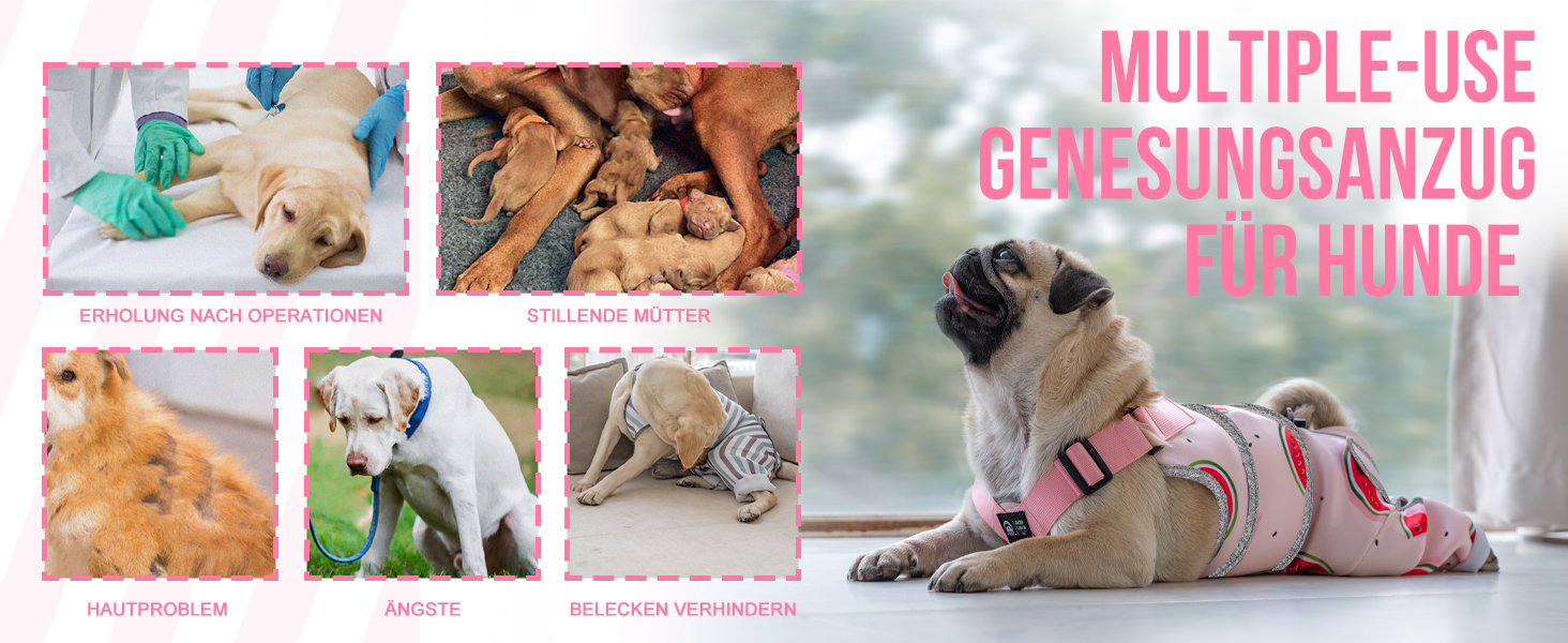 Комбінезон для собак після операції, дихаючий, для передніх лап, рожевий, XS (довжина спини 27-32 см, довжина лап 15 см)