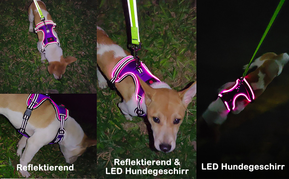 Сяючий нашийник для собак з LED-підсвіткою, перезаряджуваний, для малих, середніх і великих порід