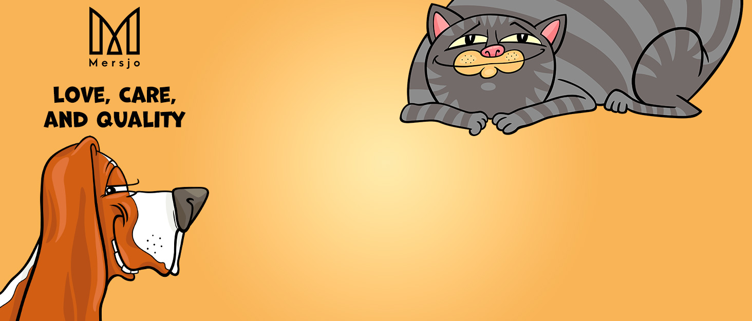 Двомісна керамічна годівниця для собак та котів з дерев'яною підставкою, Fressnapf, 2 керамічні миски по 400 мл, сірий колір