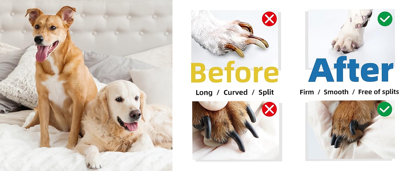 Електричний точилка для кігтів собак Casfuy - 6 режимів, 45 dB, з LED-підсвічуванням, для собак та котів великих, середніх та малих порід, фіолетовий