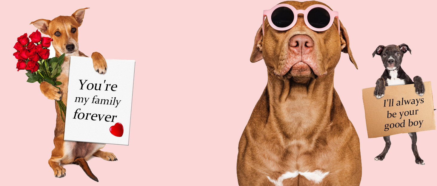 Теплий пуловер для собак на Новий рік, пухкий пуловер для маленьких та середніх собак, для Чихуахуа, Французького бульдога (Бежевий, M)