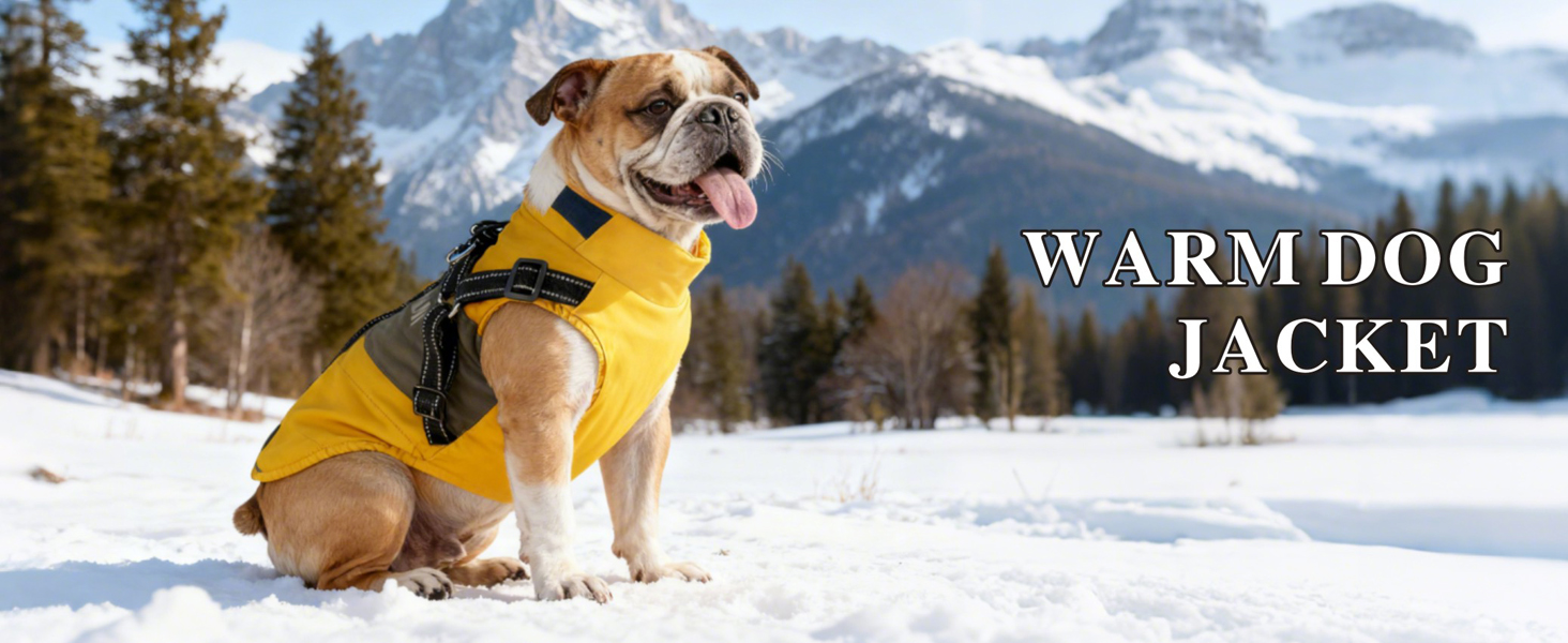 Зимова куртка для собак Oslueidy, тепла водонепроникна жилетка для цуценят та собак середніх розмірів, жовта