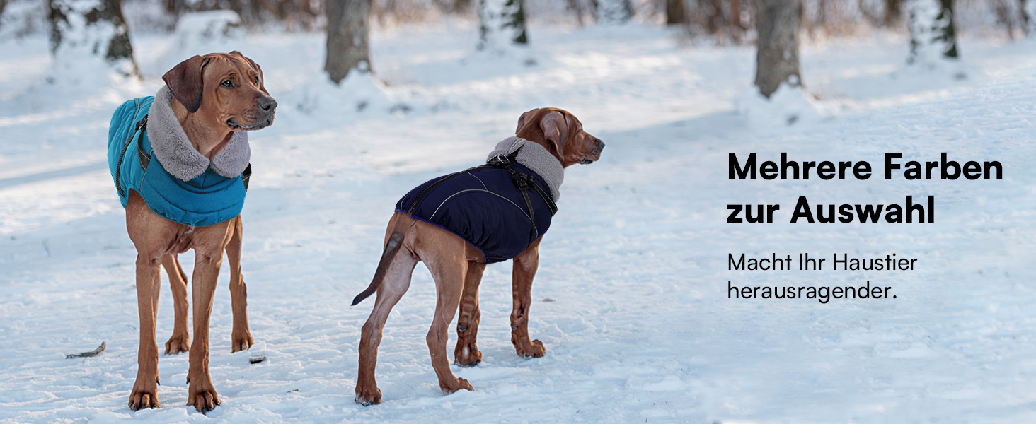 Зимовий теплий водонепроникний одяг для собак Queenmore, куртка для собак з шлейкою, 3-шарова, світловідбиваюча, для великих порід (лабрадор, хаскі, голден ретрівер) (Морська хвиля, 2XL) XXL Морська хвиля