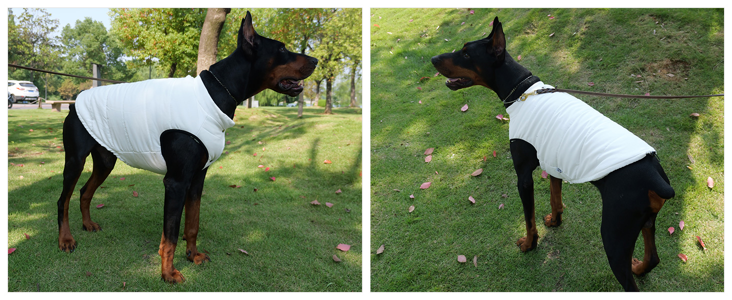 Водонепроникна флісова жилетка для собак Lovelonglong - чорна, 3XL