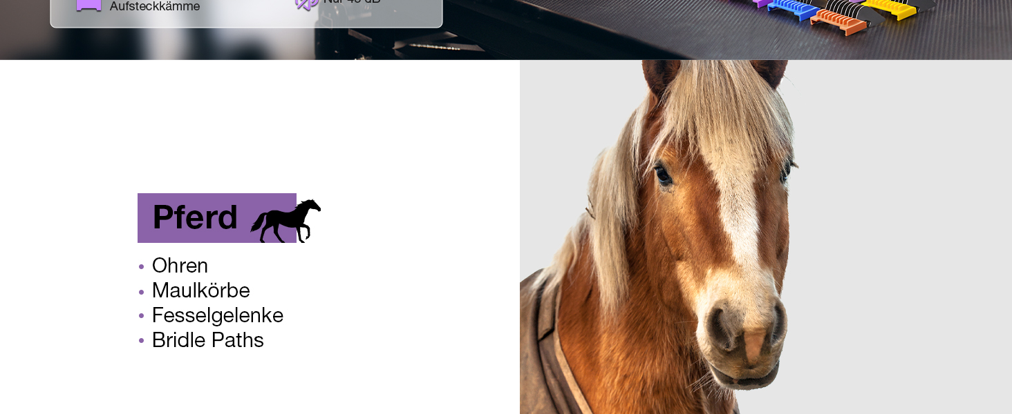 Професійна машинка для стрижки собак FuzzyFix з запасним лезом, 5-в-1, знімає шерсть з собак, котів та коней, лілова