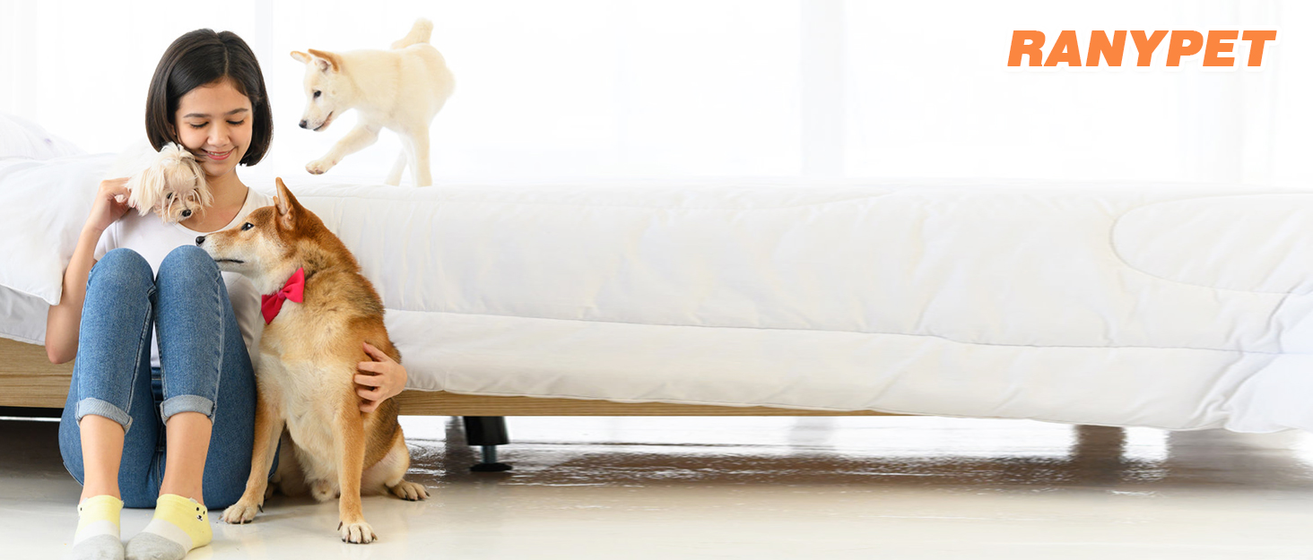 Костюм Санти для собак та котів, преміум-якість, червоний, для святкування Різдва. Розміри: S (обхват шиї 26-30 см, обхват грудей 33-47 см)