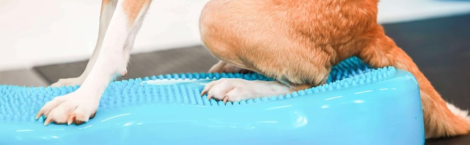 Навчальний килимок для собак - баланс борд, подушка - ортопедичний тренінг та ігри - для малих та великих собак, з насосом