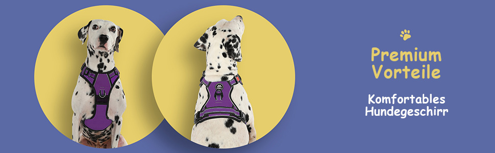 Шлейка для собак середніх порід FURRYFECTION, анти-тяга, регульована, з лінійкою, оксфорд, фіолетовий, M